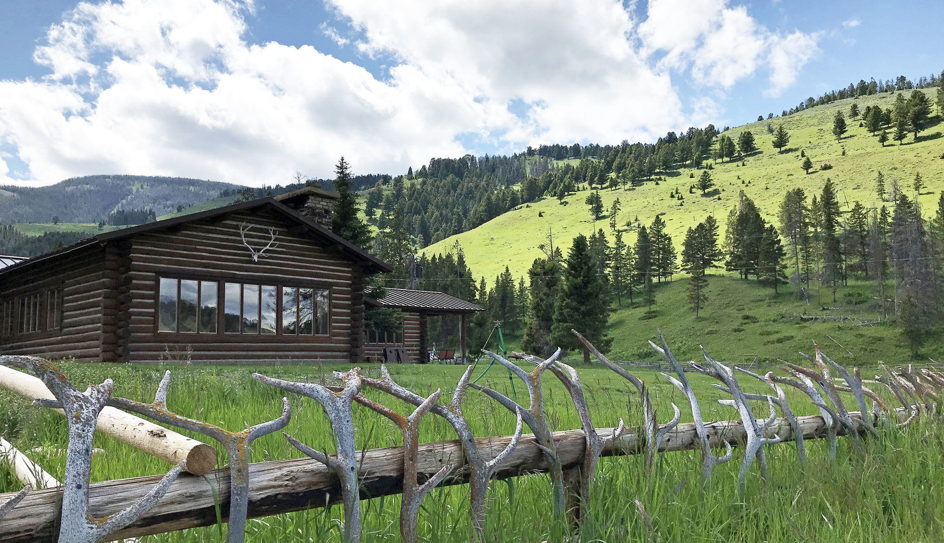 Antler fence